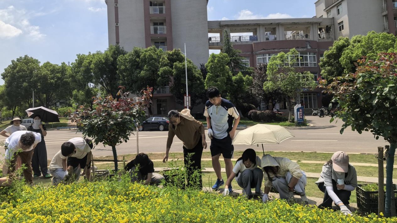 william威廉亚洲官方